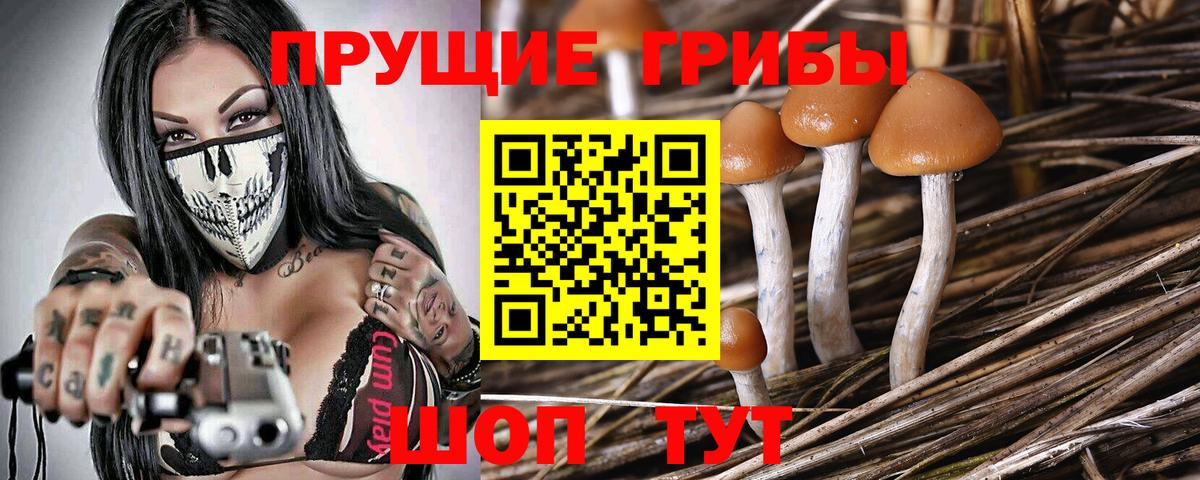 Стрежевой  Галлюциногенные грибы мицелий  Вход с VPN 
