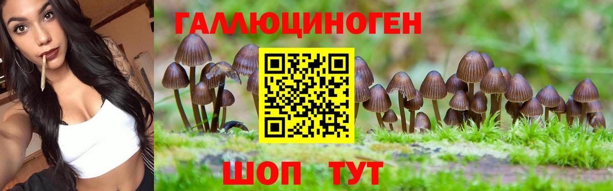 Псилоцибиновые грибы ЛСД Стрежевой